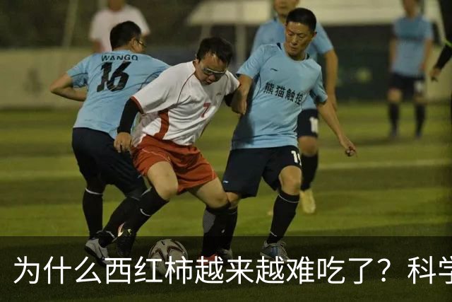 为什么西红柿越来越难吃了？科学家研究4年，发现是西红柿变了
