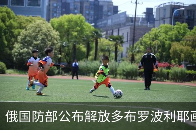 俄国防部公布解放多布罗波利耶画面