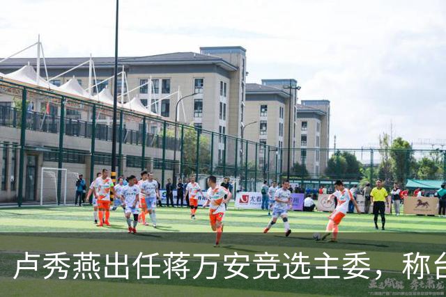 卢秀燕出任蒋万安竞选主委，称台北需要有能力、正派的市长