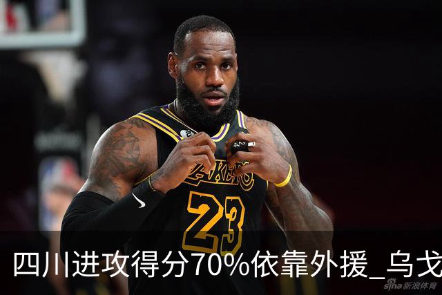 四川进攻得分70%依靠外援 乌戈透露辽篮防守策略