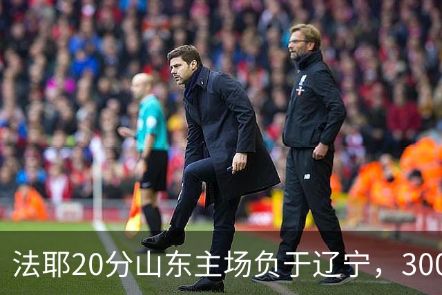 法耶20分山东主场负于辽宁，3000万先生王岚嵚0分首秀扑街