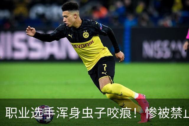 职业选手浑身虫子咬痕！惨被禁止参赛 怕传播臭虫