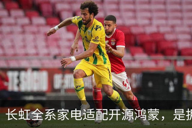 长虹全系家电适配开源鸿蒙，是拥抱生态更是求生