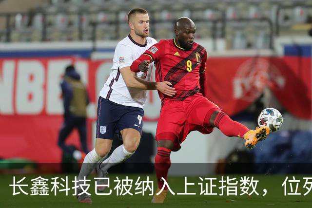 长鑫科技已被纳入上证指数，位列第一大权重股