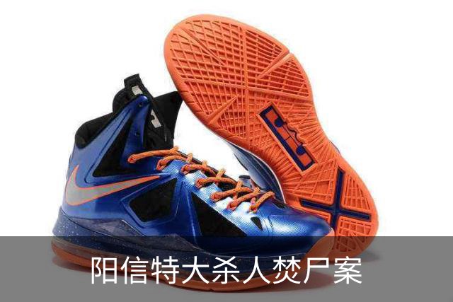 阳信特大杀人焚尸案
