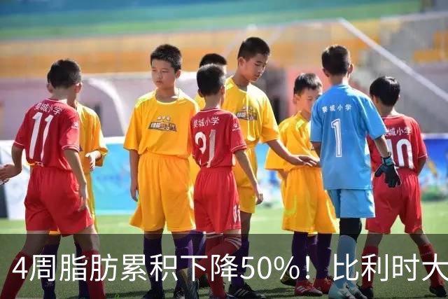4周脂肪累积下降50%！比利时大学找到肥胖克星，就藏在人体肠道中
