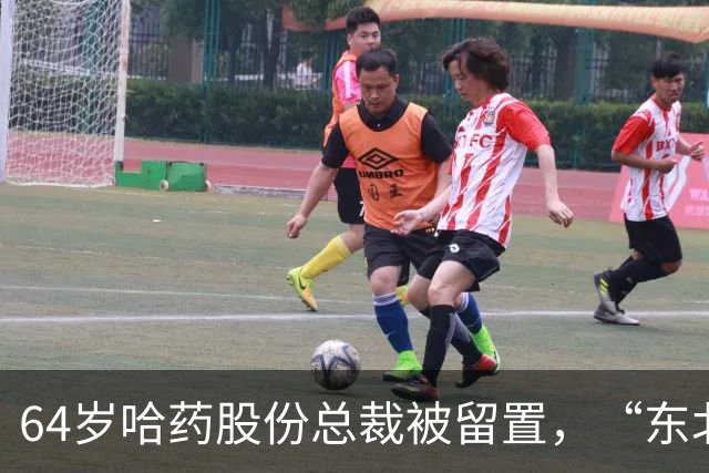 64岁哈药股份总裁被留置，“东北卢浮宫”背后的药企旧账