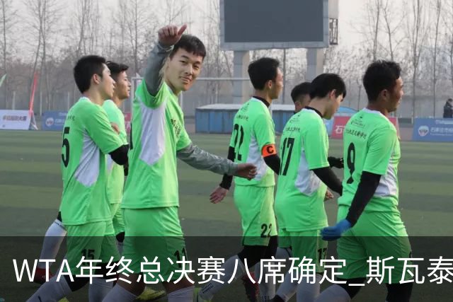 WTA年终总决赛八席确定 斯瓦泰克六年来首度无缘